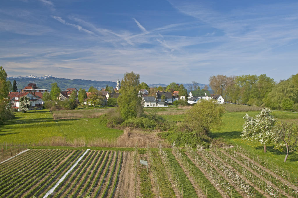 Hotel-Restaurant Walserhof Wasserburg am Bodensee Exterior photo
